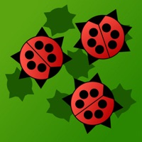 Bug hater sur PC