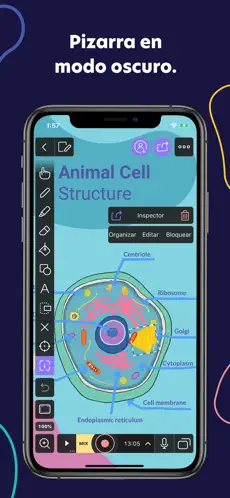 Captura de Pantalla 5 Explain Everything Whiteboard iphone