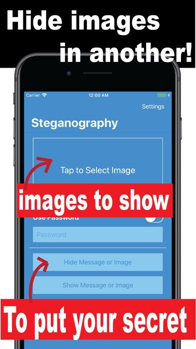 Steganography-Encrypt Message screenshot 2