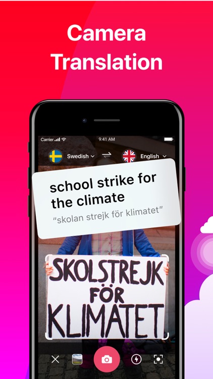Lingvanex Language Translator