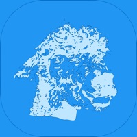 Alpaca Tracker sur PC