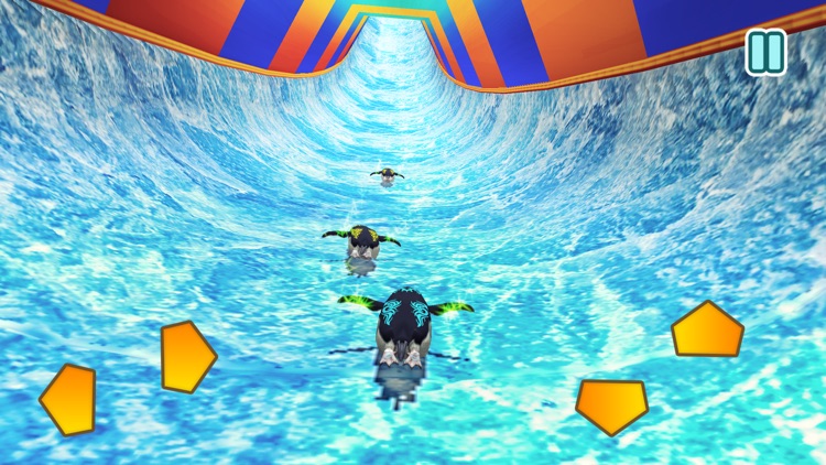 Penguin Slide Racer screenshot-4