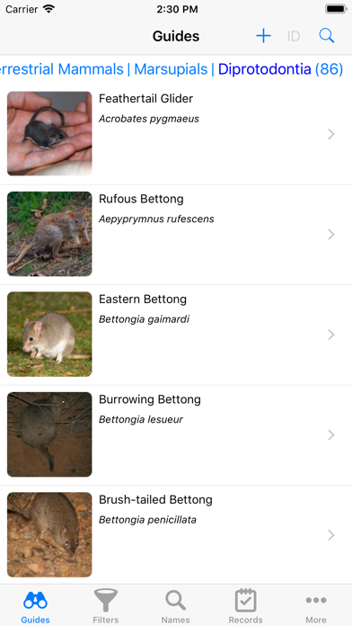 How to cancel & delete Australian Mammals from iphone & ipad 1