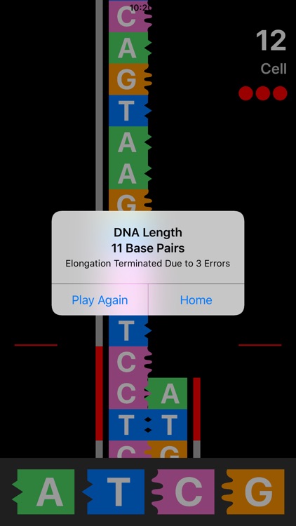 DNA Game