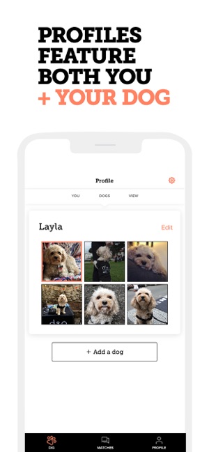 Dig Dog Person S Dating App On The App Store