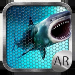 Shark Attack AR