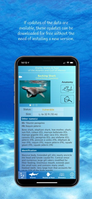 Sharks and Rays(圖4)-速報App