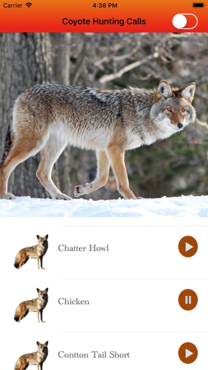 Coyote Hunting Calls Full