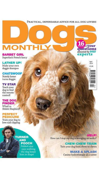 Dogs Monthly Magazine