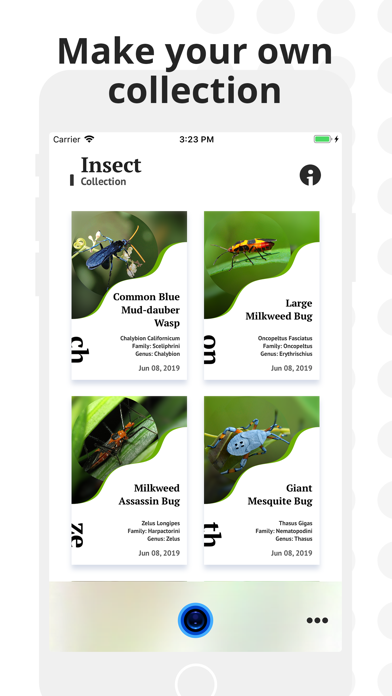 Insect Identification screenshot 3