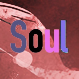 soul全新版本