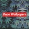 Dope Wallpapers and Background app is created for fans with a high-tech rationalist Dope wallpapers tumblr you will find wallpapers and a lot of collections like chill wallpapers trill wallpapers lit wallpapers dab wallpaper HD hip hop wallpaper Yeezy wallpapers that you like to share with friends, Dope art is a Dope wallpaper tumblr that explores the swag, Dope Wallpaper and backgrounds will update every day new Wallpaper for girls Dope and Trill wallpapers for enjoying your self with Dope art