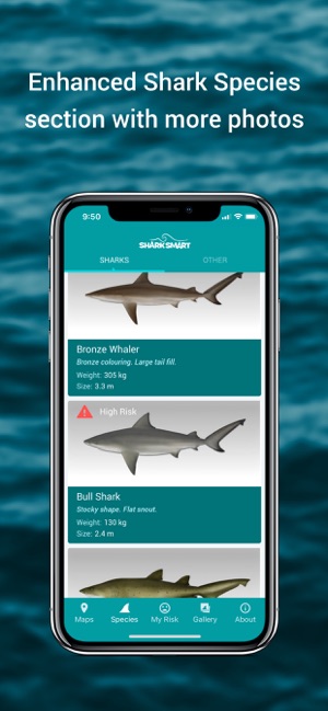 SharkSmart(圖3)-速報App