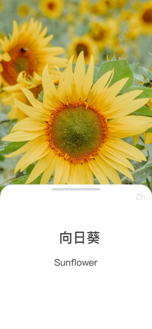 Polarword(圖2)-速報App