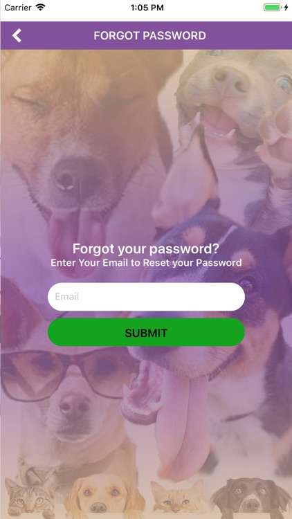 Sydney's Pet Resort and Spa