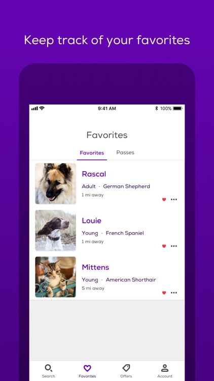 Petfinder Adoptable Pets screenshot-3