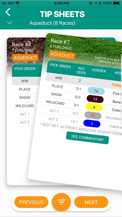 Horse Racing Tip Sheets