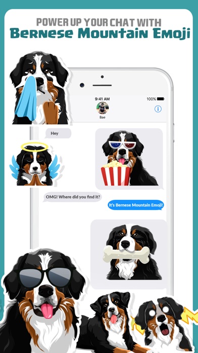 Bernese Mountain Dog Emoji screenshot 3