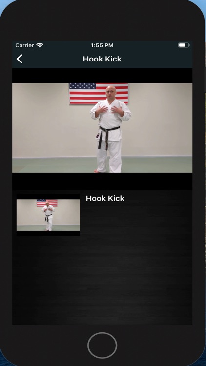 Faust's USA Karate screenshot-3