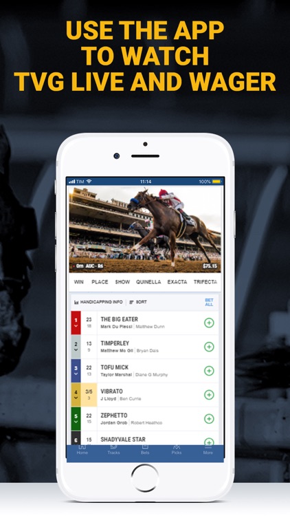 PABets - Horse Racing Betting