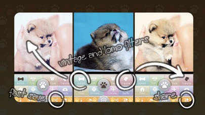 Camera Pets screenshot 2