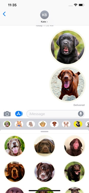 Lovely Labrador Sticker Pack(圖2)-速報App