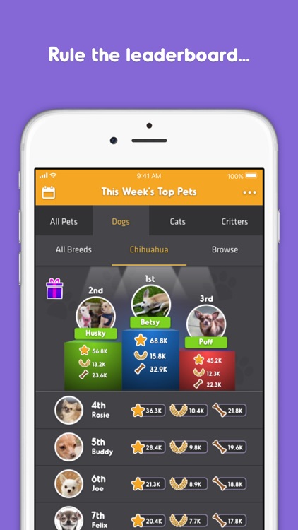 Pet Parade screenshot-3
