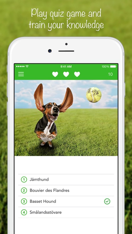 iKnow Dogs 2 PRO screenshot-3
