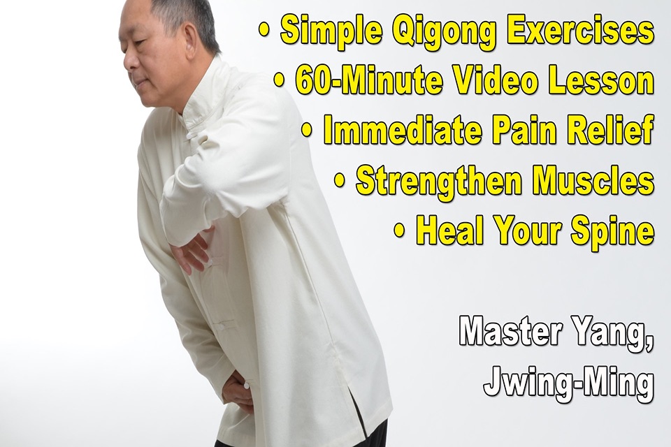 Qigong for Back Pain Relief screenshot 4