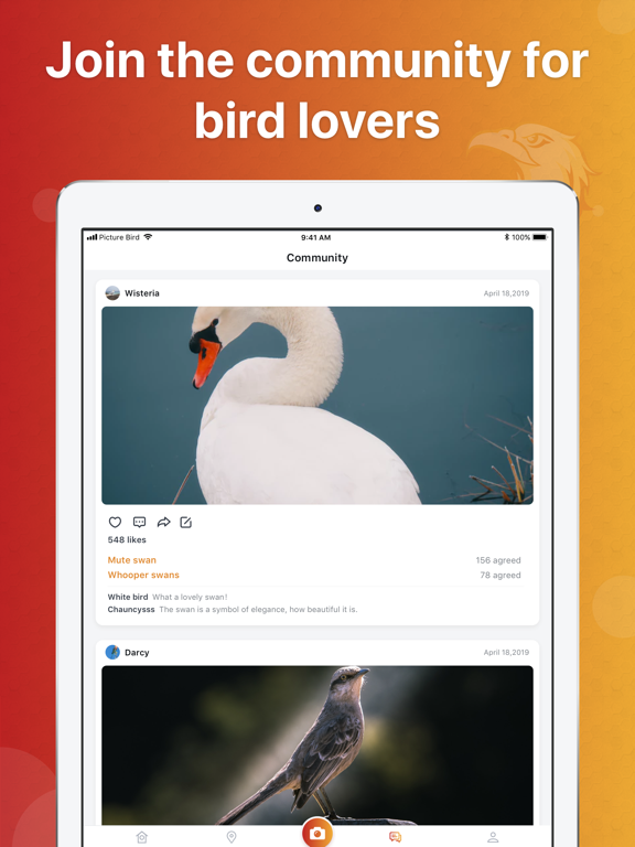 Picture Bird - Bird Identifier screenshot