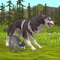 Explore nature as a wild animal and raise a family in the new RPG adventure Wildcraft