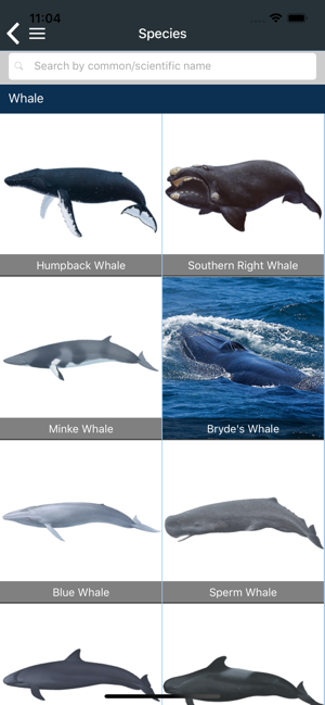 Marine Fauna sightings(圖2)-速報App