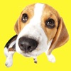 Beagle Fun Emoji Stickers