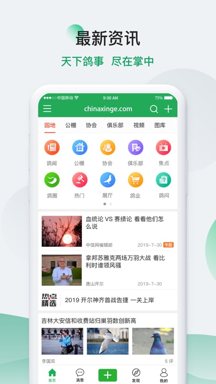 中国信鸽信息网chinaxinge.com