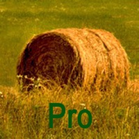 Heupreise Pro pour PC