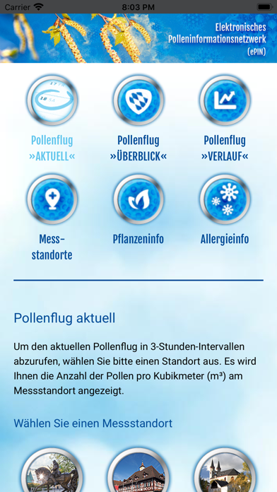 App preview
