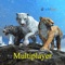 Tiger Multiplayer - Siberia is an animal simulator that allows you to play head to head against other players from around the world