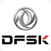 Dfsk Sales