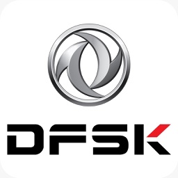 Dfsk Sales