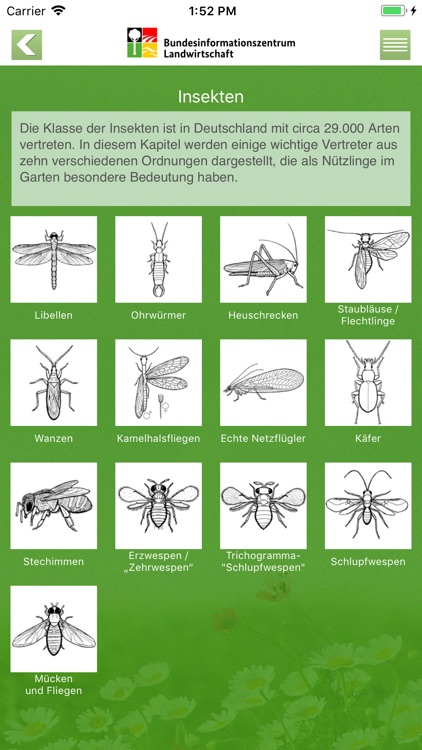 Nützlinge im Garten