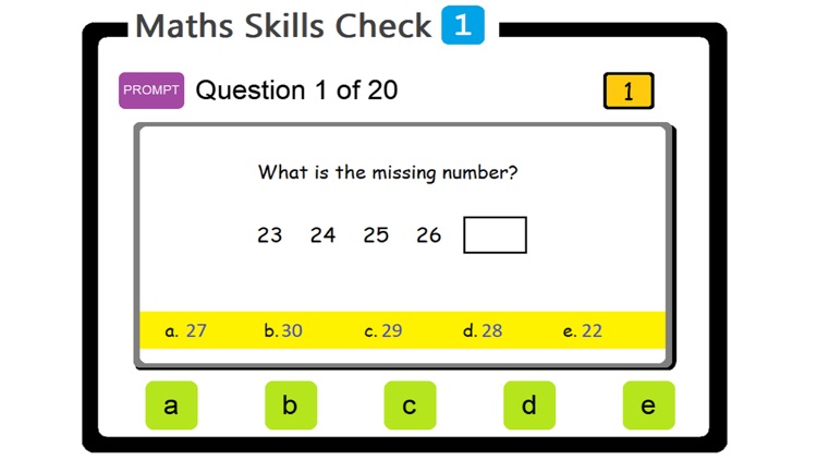 PAM Maths Skills Check 1