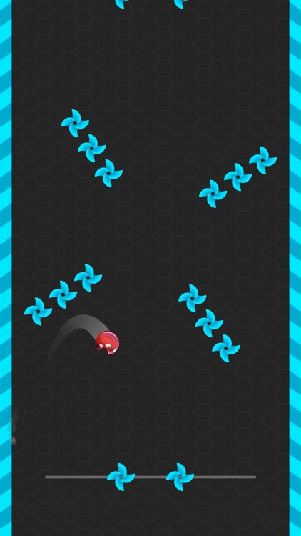 Bongo Jump
