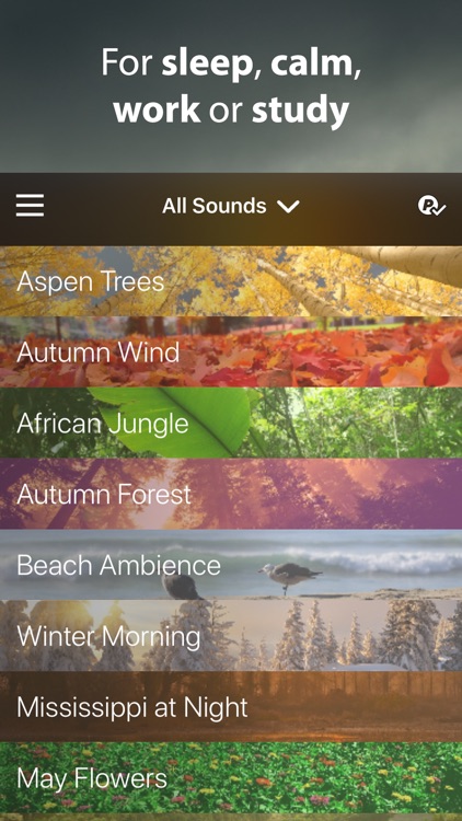 Rain Rain Sleep Sounds screenshot-3