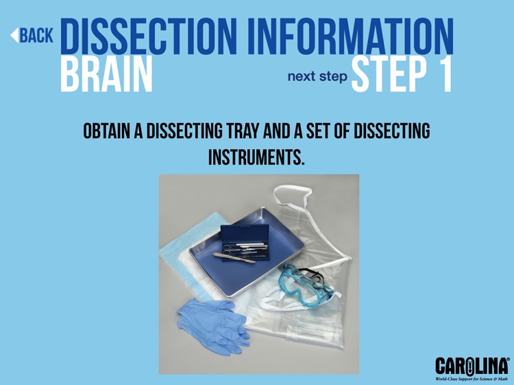 Mammalian Organ Dissection