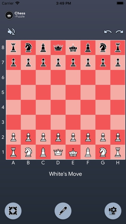 Agile Chess Puzzle