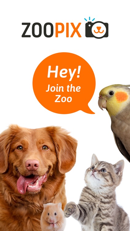 ZooPix: Where Cute Pets Rule screenshot-0