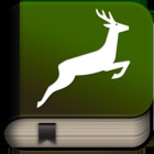 Top 33 Education Apps Like Explain 3D: Forest animals - Best Alternatives