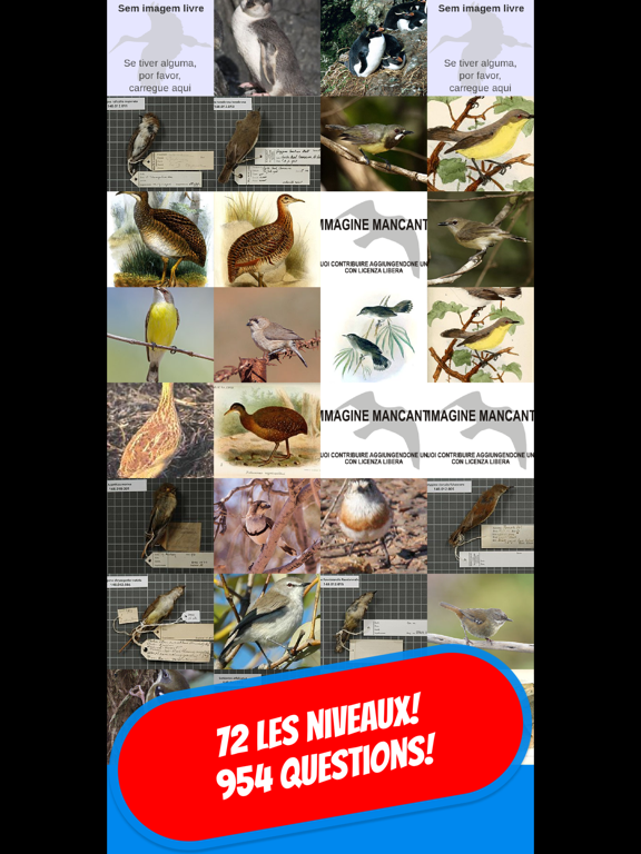 Screenshot #4 pour LES OISEAUX Quiz français