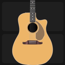 Guitar and Instruments