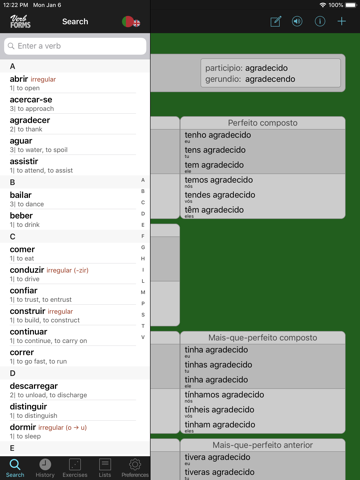 Portuguese Verbs & Conjugation - náhled